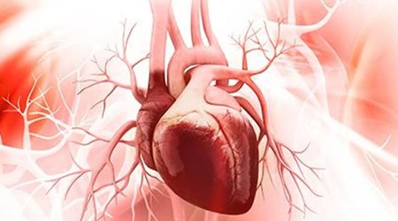 میوکاردیت 🔗