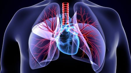 ریه و قلب 🔗